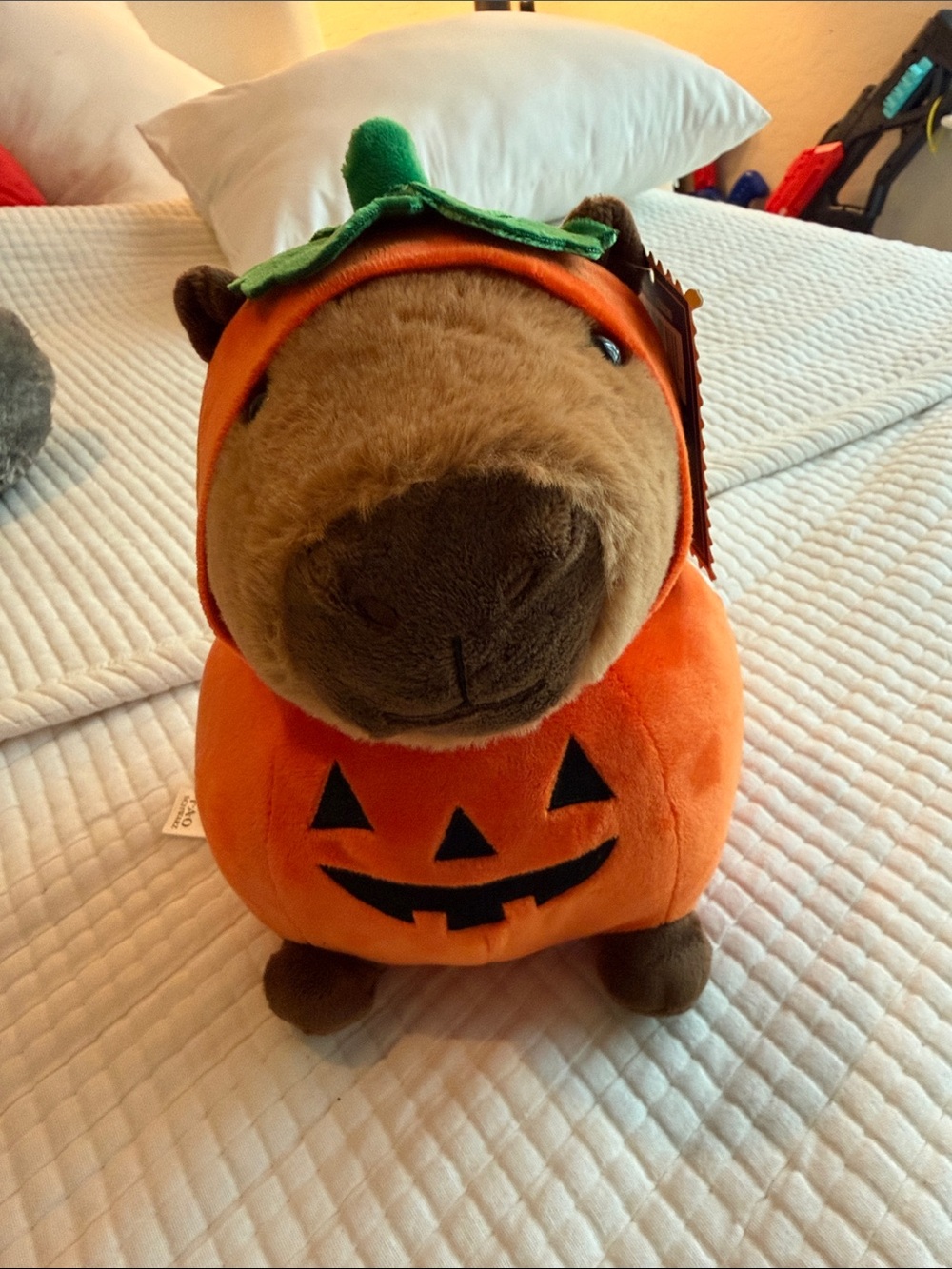 FAO Schwarz Plush Pumpkin Capybara Costume in Orange and Green